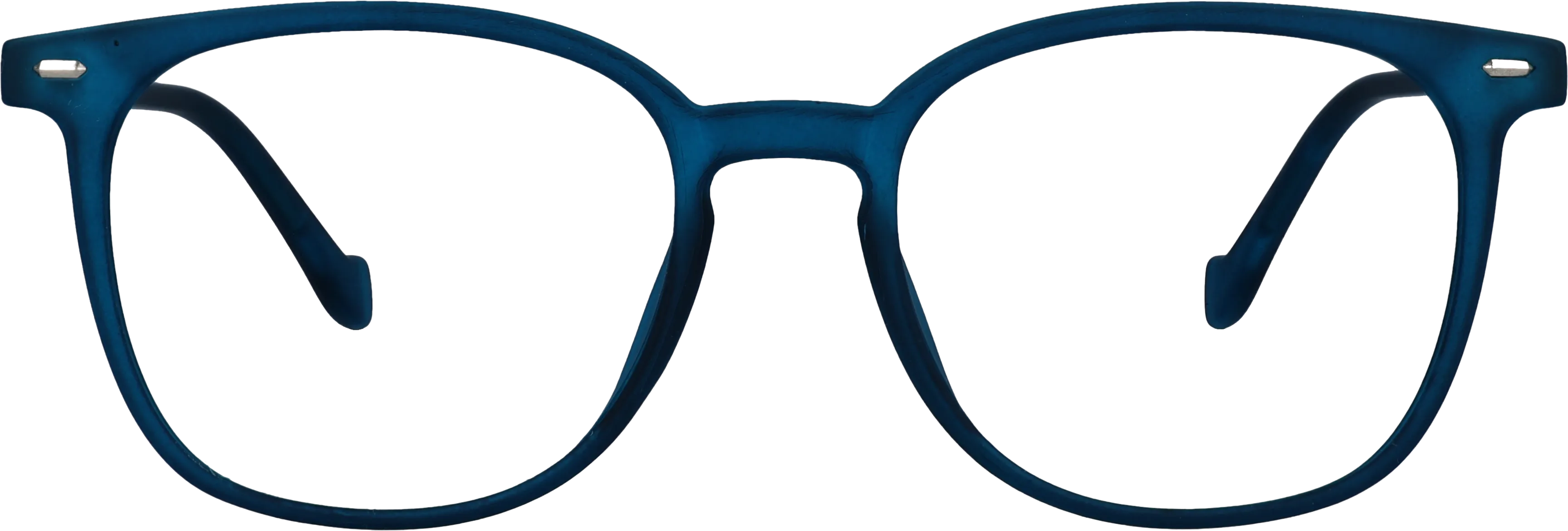 Teal Tortoise